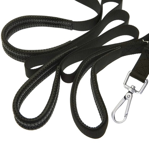 CANNY RECALL LEASH