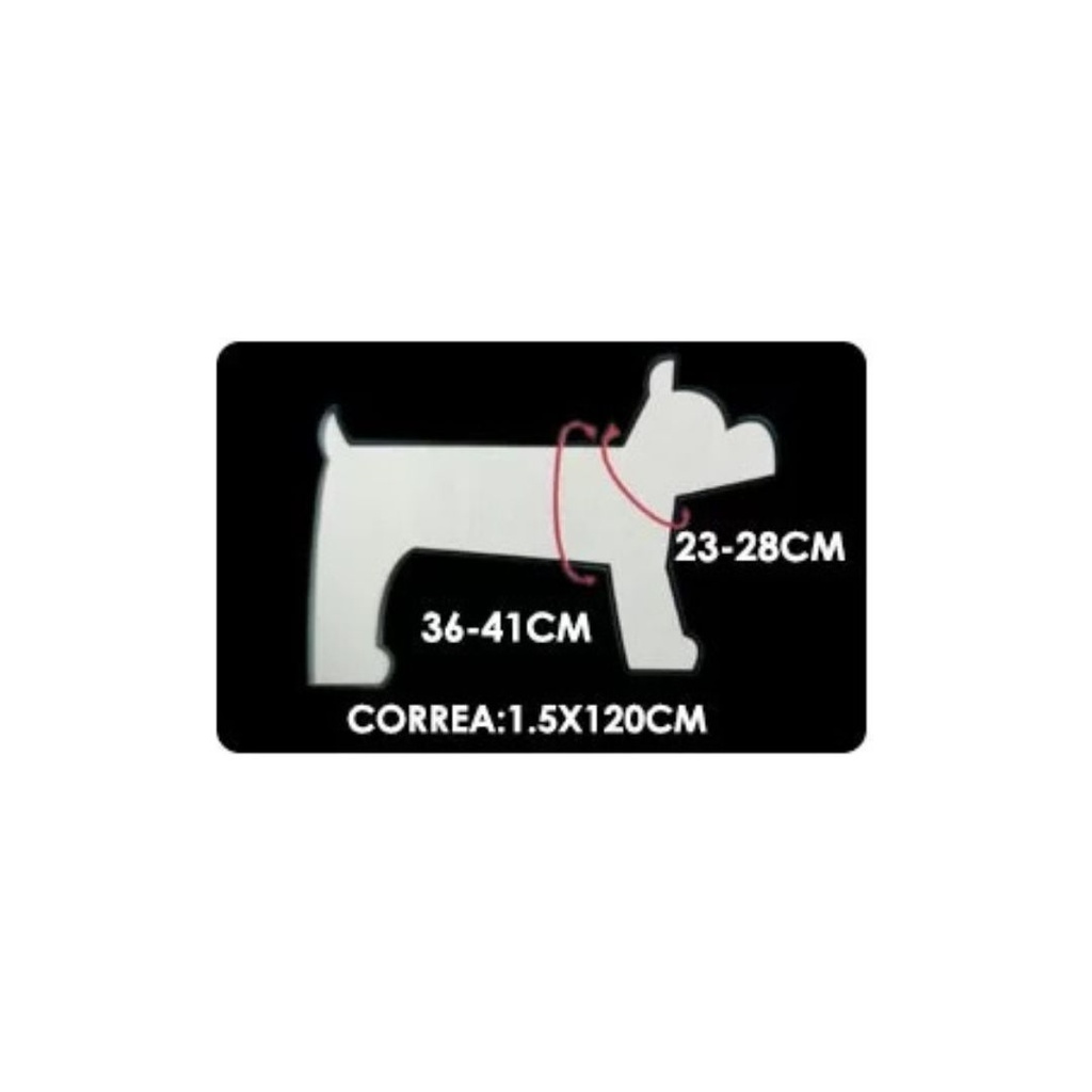 ARNES Y CORREA PARA PERRO MASCO PETS VARIOS COLORES