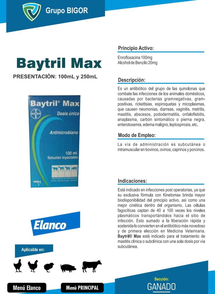 BAYTRIL MAX 10% 