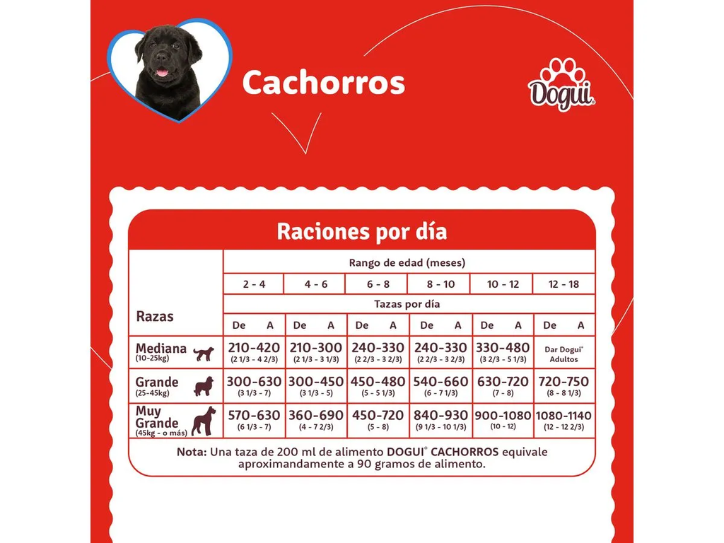 CACHORRO 1 .webp