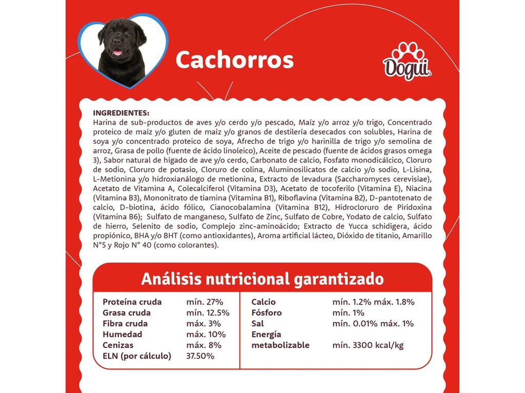 CACHORRO 2.webp