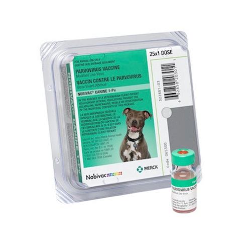 PARVOVIRUS CANINO NOBIVAC MSD