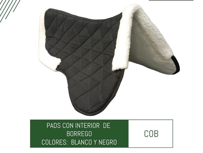 PROTECTORES DE CRUZ PARA CABALLO