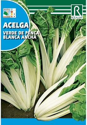 SEMILLA ACELGA VERDE DE PENCA ROCALBA 10 GR