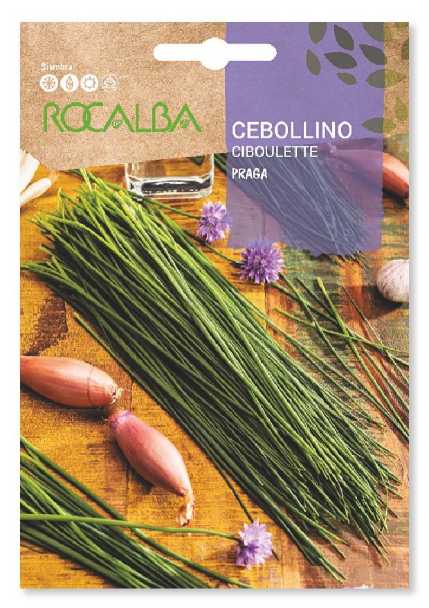 SEMILLA CEBOLLINO ROCALBA 2GR
