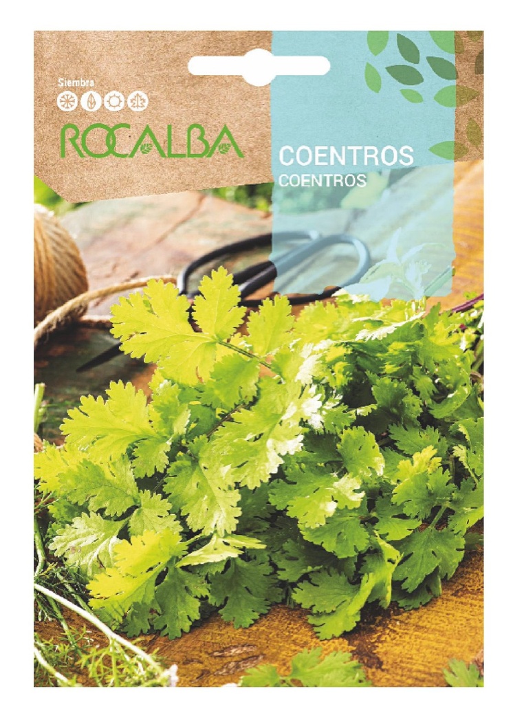 SEMILLA CILANTRO CILANTRO ROCALBA 10 GR