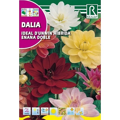 SEMILLA DALIA ROCALBA 0.1 GR