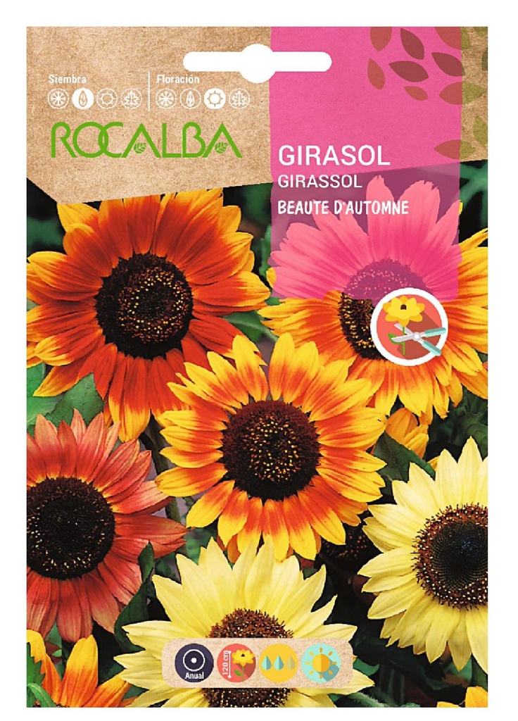 SEMILLA DE GIRASOL COLORES 10 GRS