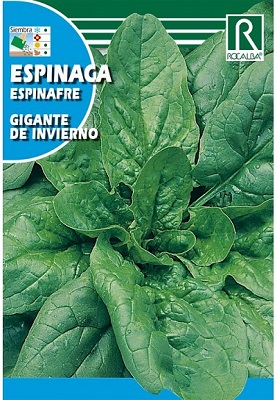 SEMILLA ESPINACA MONSTRUOSA DE VIROFLAY ROCALBA 10 GR