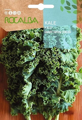 SEMILLA LECHUGA KALE DWARF GREEN CURLED ROCALBA 6 GRS