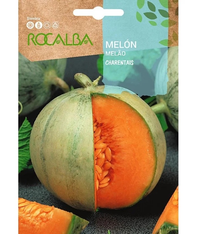 SEMILLA MELON CHARENTAIS ROCALBA
