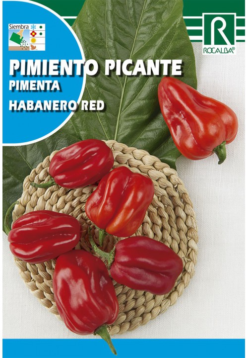 SEMILLA PIMIENTO PICANTE HABANERO RED ROCALBA 0.5 GRS