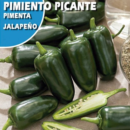 SEMILLA PIMIENTO PICANTE JALAPEÑO ROCALBA 0.5 GRS