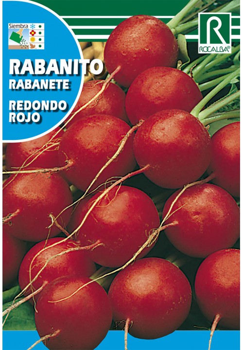 SEMILLA RABANITO REDONDO ROJO 10 GR