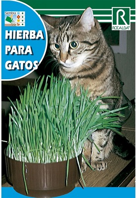 SEMILLA HIERBA PARA GATOS ROCALBA