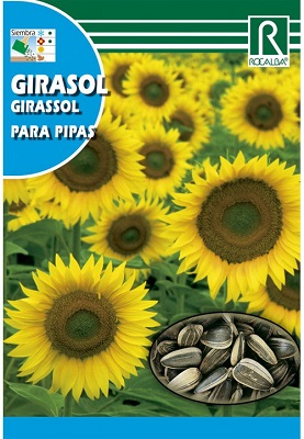 SEMILLAS GIRASOL PARA PIPAS ROCALBA