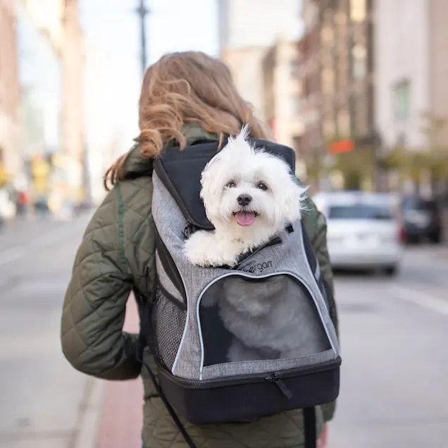 TRANSPORTADORA BERGAN BACKPACK PET CARRIER