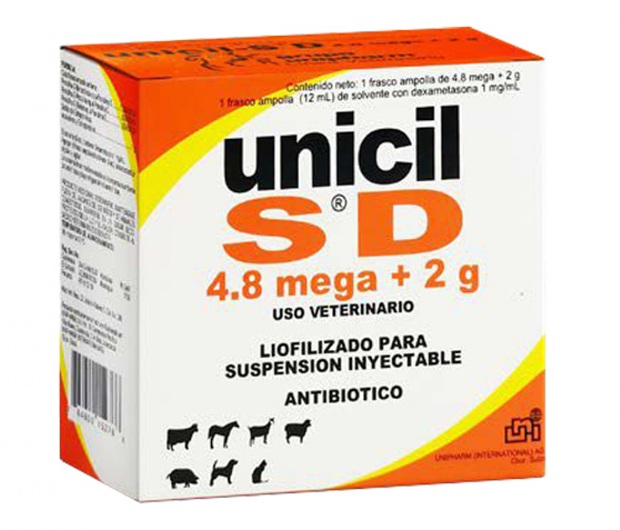 UNICIL SD 4.8 MEGA + 2G