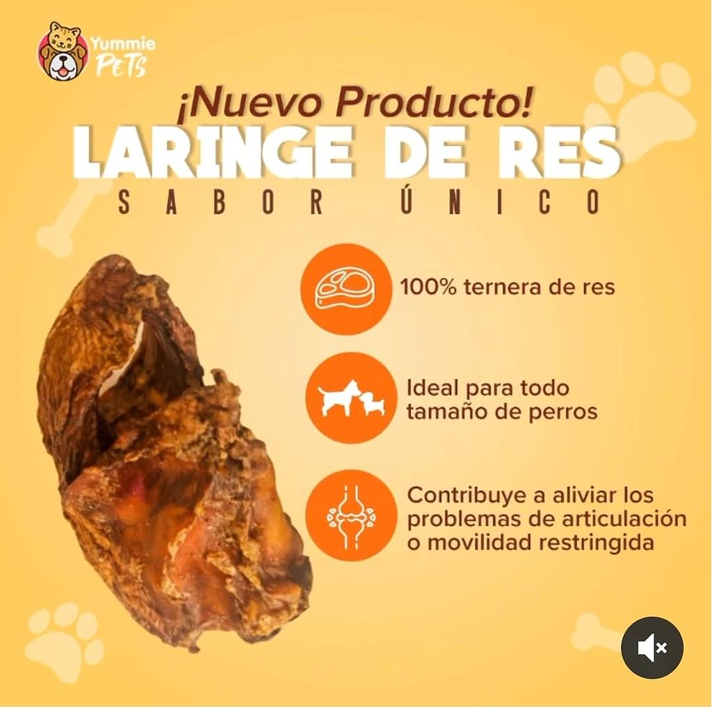 YUMMIE PETS LARINGE DE RES