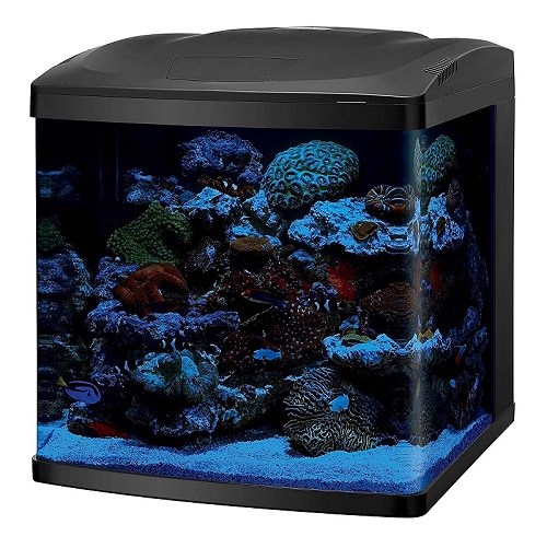 ACUARIO CORAL BIO CUBE LED MARINOS