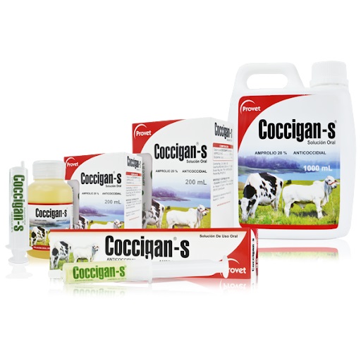 COCCIGAN-S