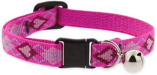 COLLAR DE SEGURIDAD PARA GATO CON CASCABEL  PETS