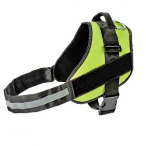 HARNESS PET SAFETY VERDE