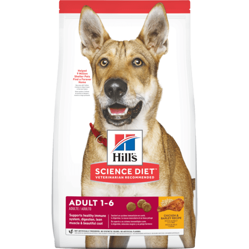 CONCENTRADO PARA PERRO SCIENCE DIET ADULT CHICKEN & BARLEY