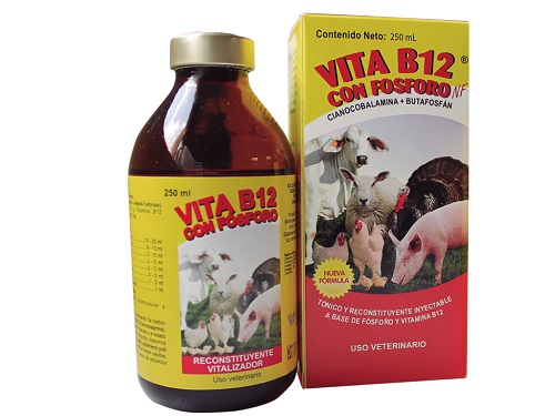 VITA B 12 CON FOSFORO