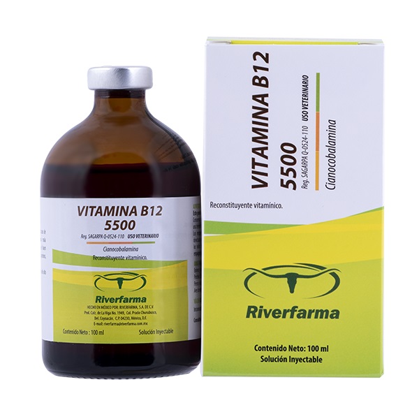 VITAMINA B12 5500 RIVERPHARMA