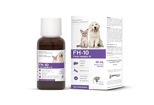 FH-10 HEPATICO 100ML