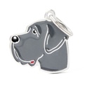 MY FAMILY TAG FRIENDS GRAN DANES BLUE 
