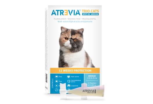 PIPETA ANTIPULGAS ATREVIA GATO HASTA 6.25 KG