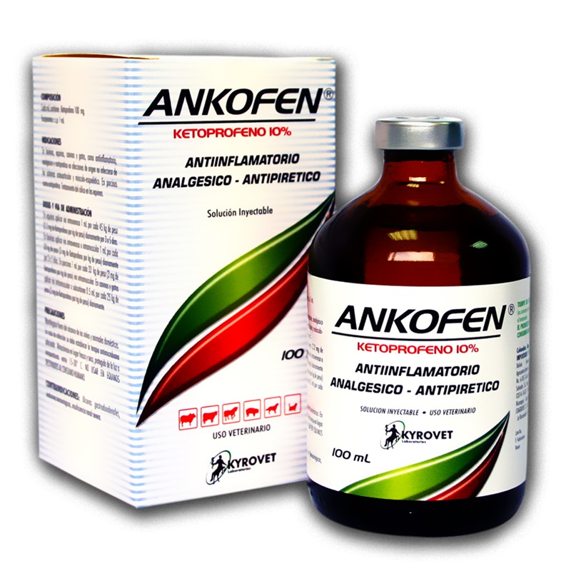 ANKOFEN 10% INYECTABLE 