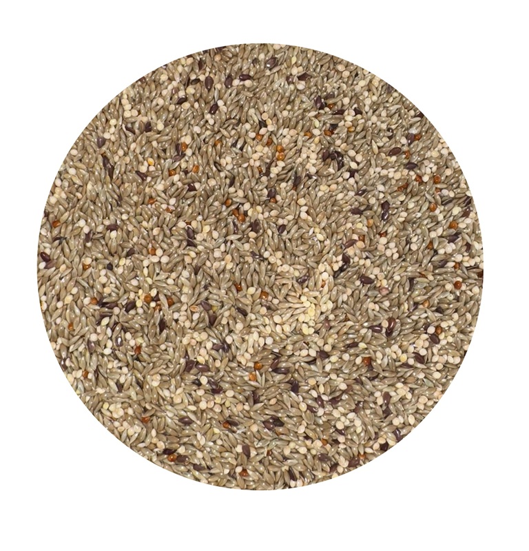 ALIMENTO PARA AVES FINCHES x 1 LIBRA