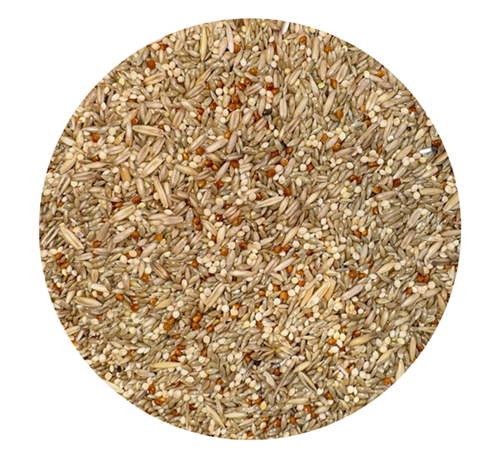 ALIMENTO PARA AVES PERICOS AUSTRALIANOS x 1 LIBRA