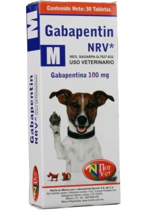 GABAPENTINA GABANTIN M 100 MG x BLISTER DE 10 TABLETAS