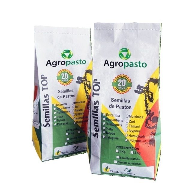 SEMILLA DE PASTO TRATADA DE MOMBAZA x 1 KG