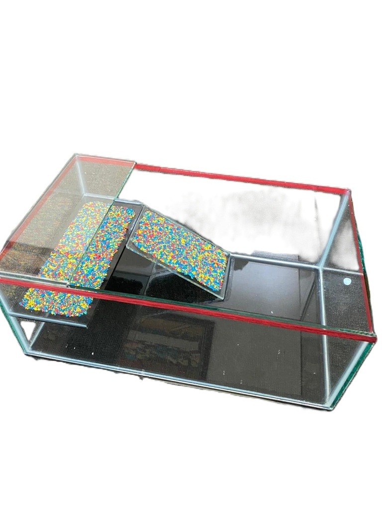 TORTUGUERO ESPECIAL DE VIDRIO 