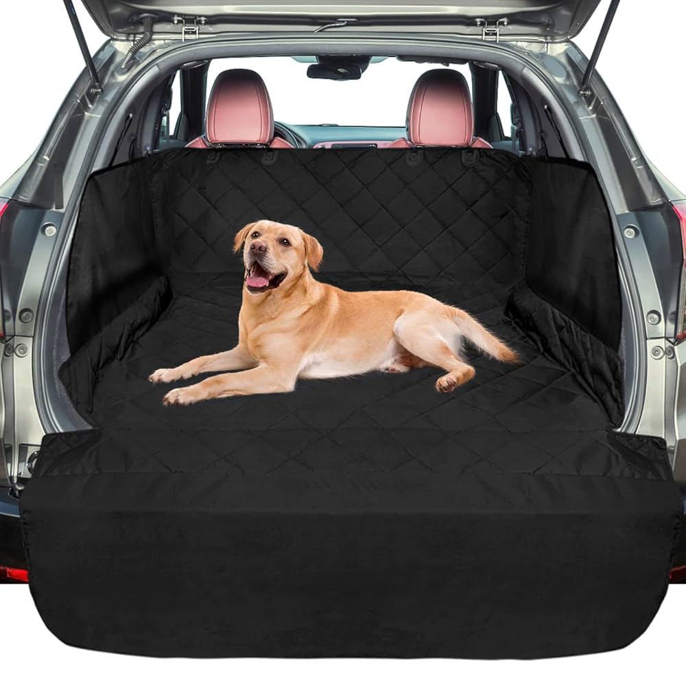 PROTECTOR PARA CAJUELA PARA CARRO 