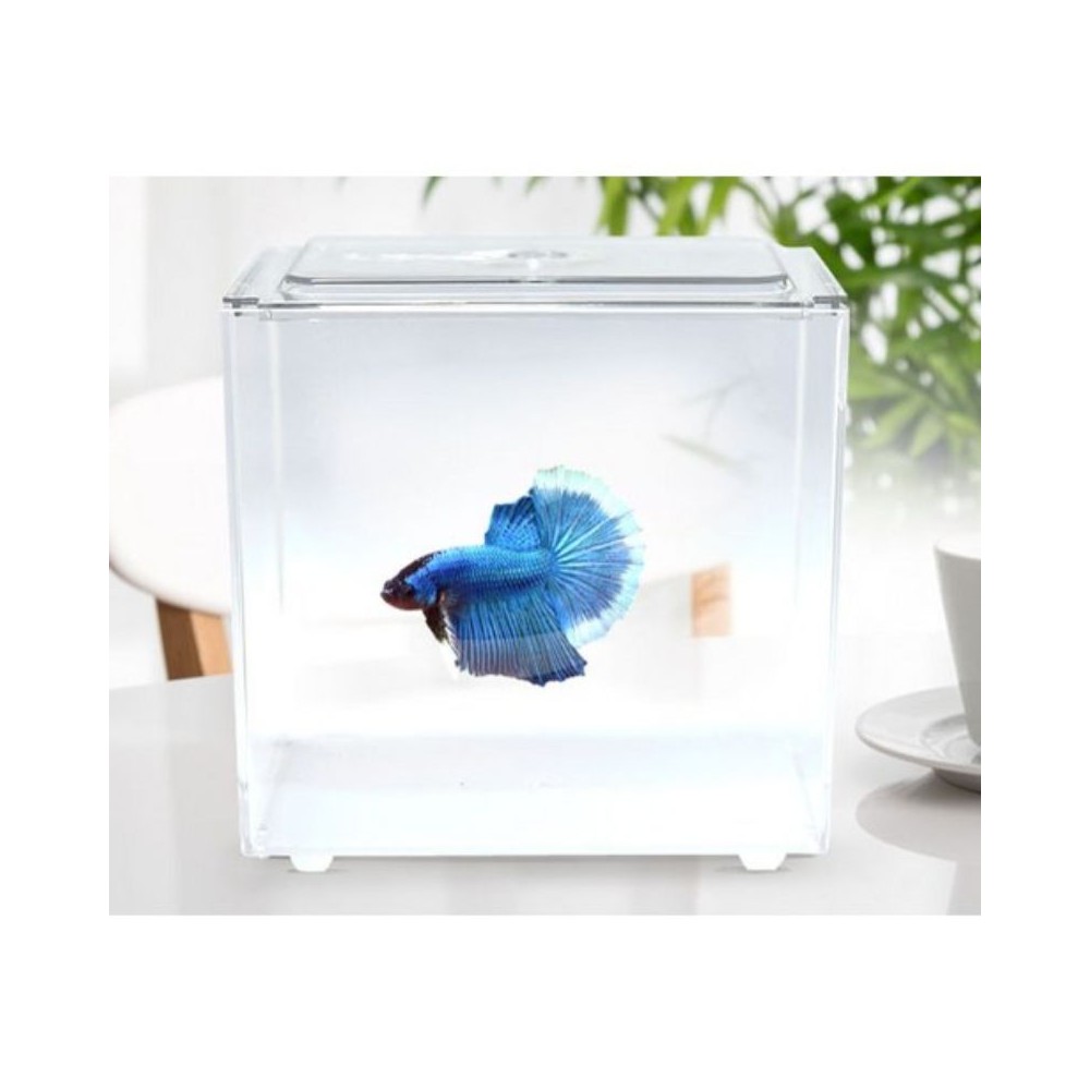 PECERA PARA PEZ BETA