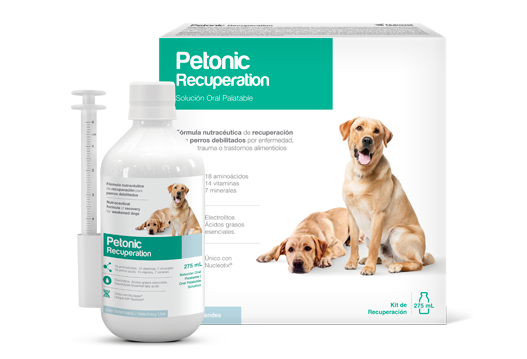PETONIC RECUPERATION x 110 ML