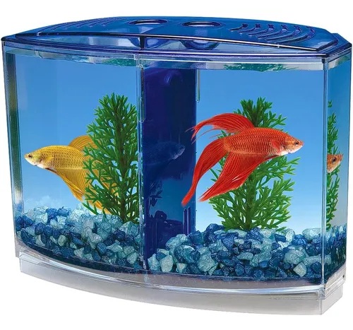 PECERA PARA PECES BETTA CON DOS DIVISIONES