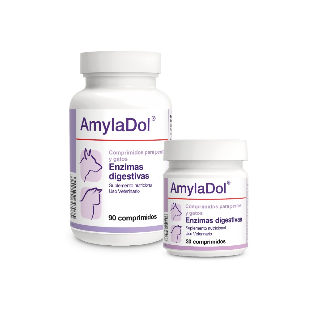 ENZIMAS DIGESTIGAS AMYLADOL