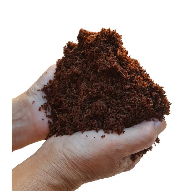 FIBRA DE COCO FINA EN BOLSA