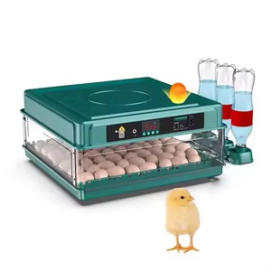 INCUBADORA DE HUEVOS AUTOMATICA DE 36 HUEVOS CON VOLTEO AUTOMATICO