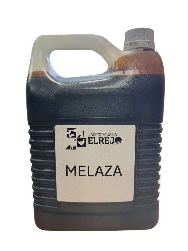 GALON DE MELAZA CON ENVASE NUEVO