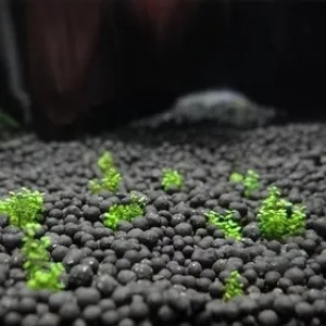 ARENA PARA CAMARON SHRIMP SAND