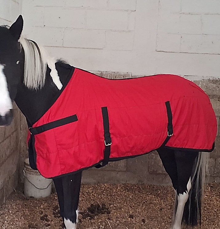 CAPA PARA CABALLO DE ESTABLO ARTESANO CON LOGO