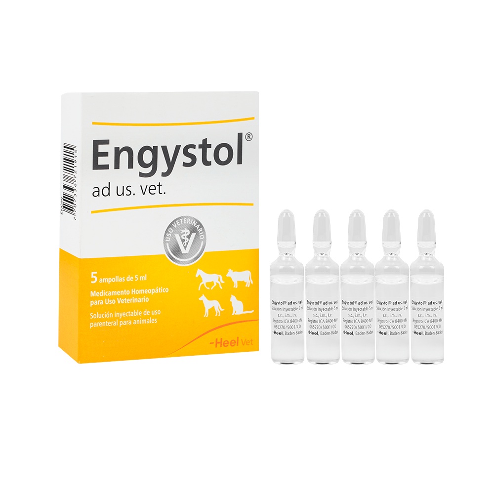 ENGYSTOL SOLUCION INYECTABLE x 2.2 ML